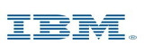 IBM Company Logo